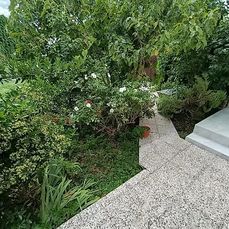 Apartmans Arijana Апартаменты Бихач